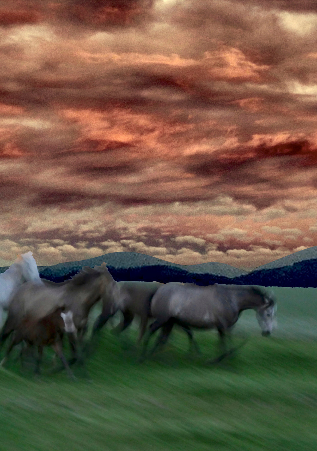 Wild and Free