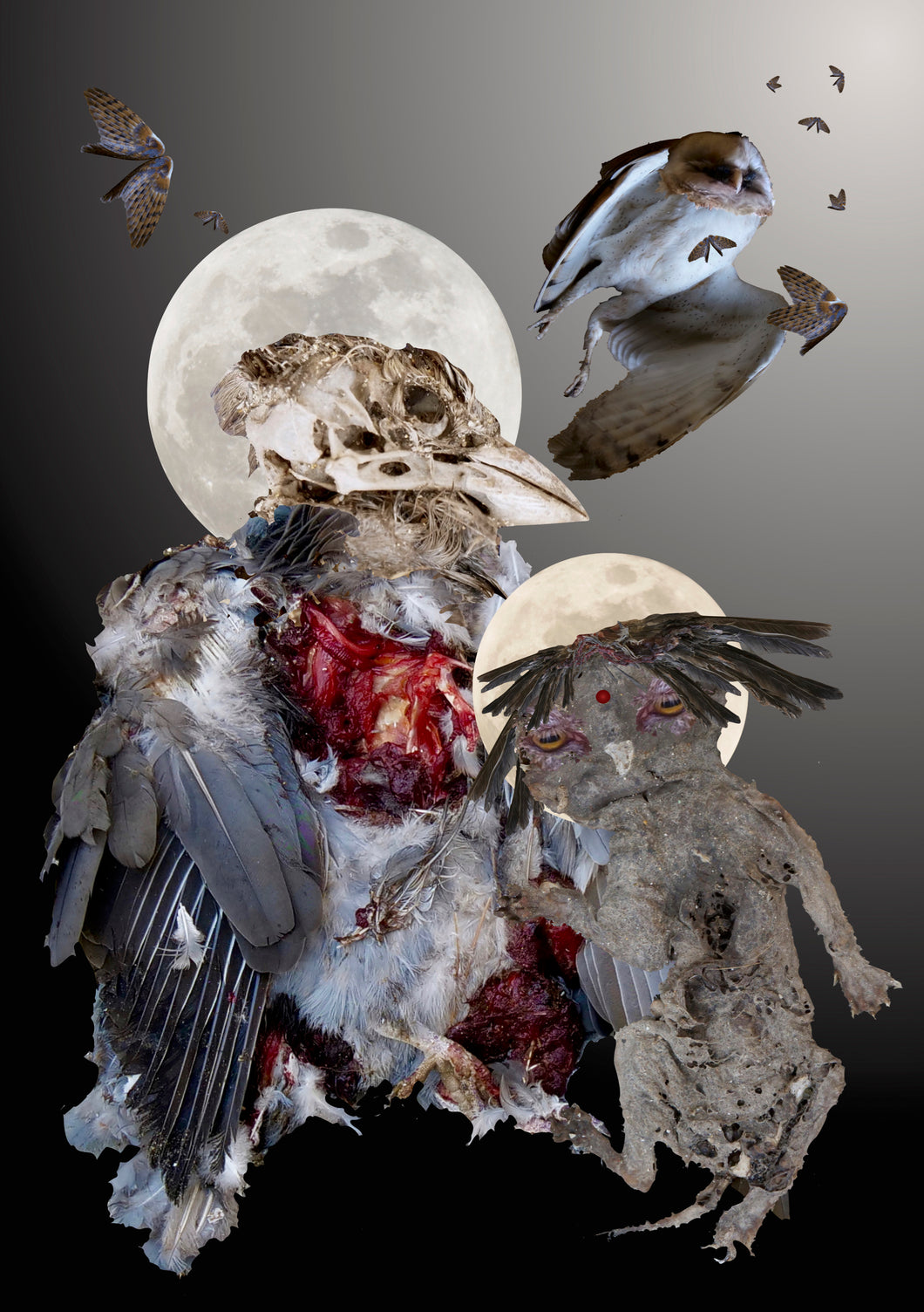 Autopsy